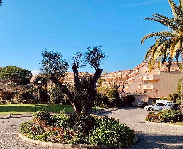 Antibes Secured Parc Velusine With Private Parking, Terrace, Pools And Tennis Courts. Dış mekan fotoğraf