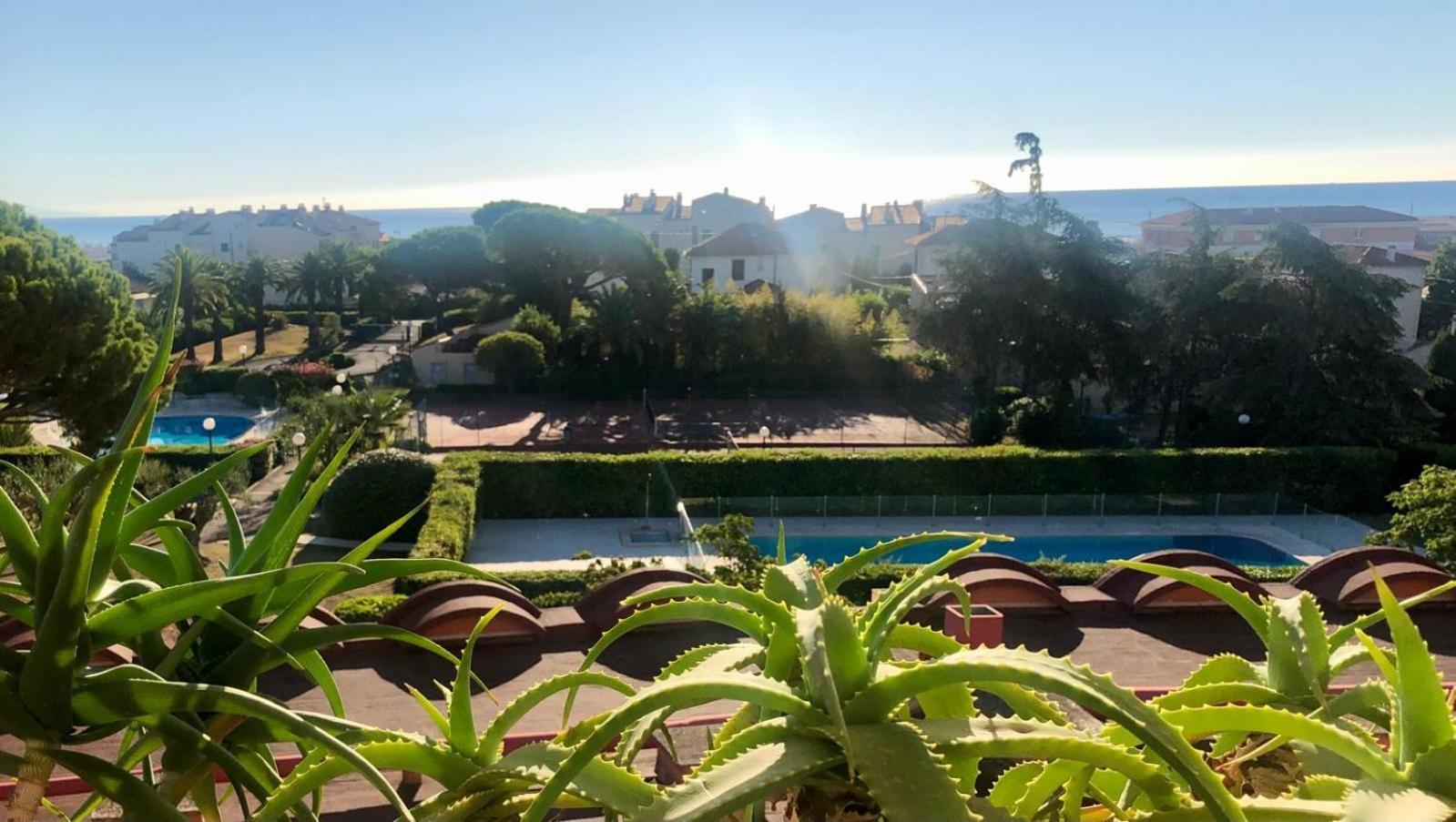 Antibes Secured Parc Velusine With Private Parking, Terrace, Pools And Tennis Courts. Dış mekan fotoğraf